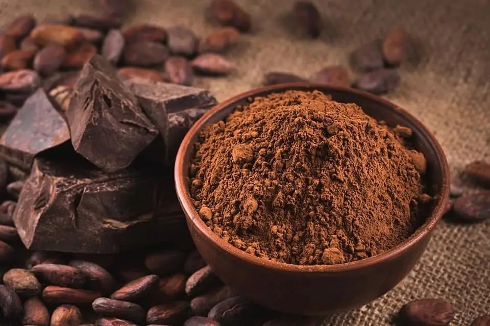 Fèves de cacao